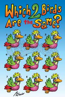 Which 2 Birds Are the Same? (Perfect For Kids)